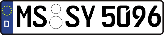MS-SY5096
