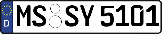 MS-SY5101