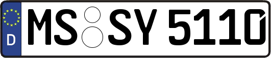 MS-SY5110