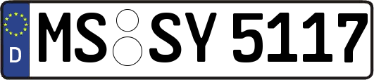 MS-SY5117