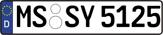 MS-SY5125