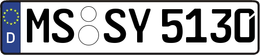 MS-SY5130