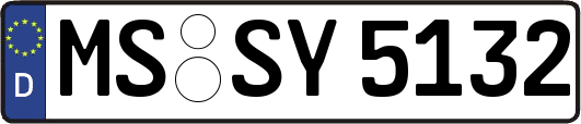 MS-SY5132