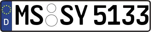 MS-SY5133