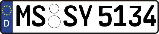 MS-SY5134