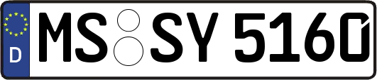 MS-SY5160