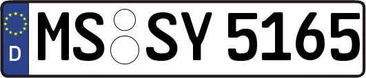 MS-SY5165