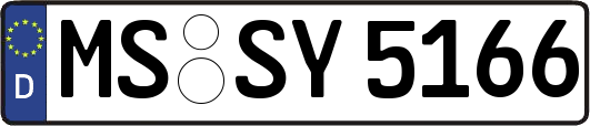 MS-SY5166