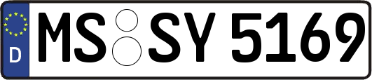 MS-SY5169