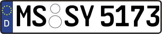 MS-SY5173