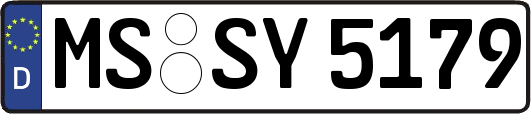 MS-SY5179