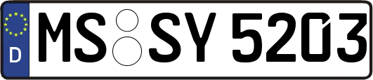 MS-SY5203