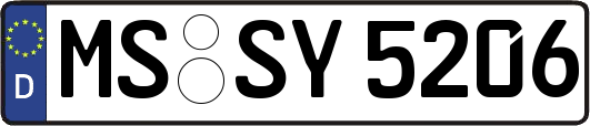 MS-SY5206