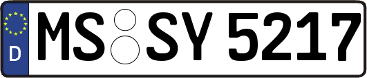 MS-SY5217