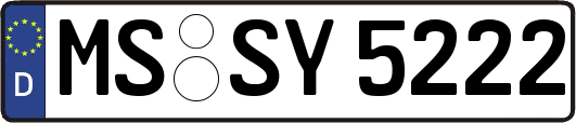 MS-SY5222