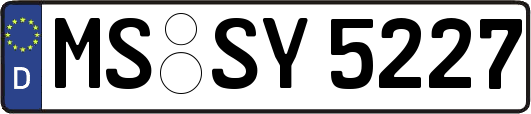 MS-SY5227