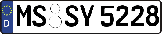 MS-SY5228