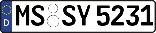 MS-SY5231