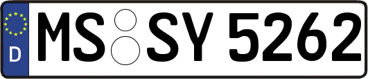 MS-SY5262