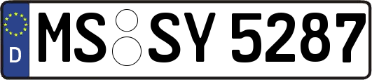 MS-SY5287
