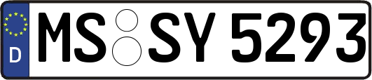 MS-SY5293