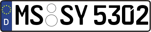 MS-SY5302