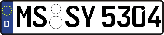 MS-SY5304