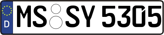 MS-SY5305