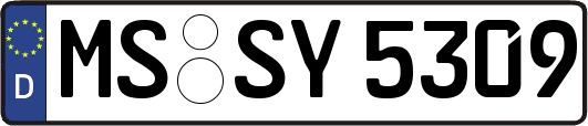 MS-SY5309