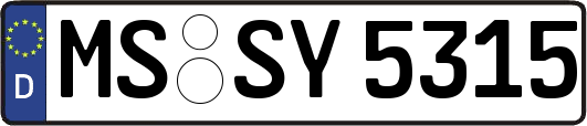 MS-SY5315