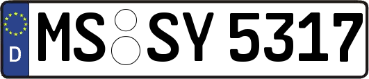 MS-SY5317