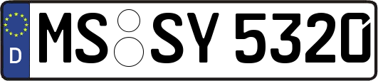 MS-SY5320