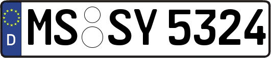 MS-SY5324
