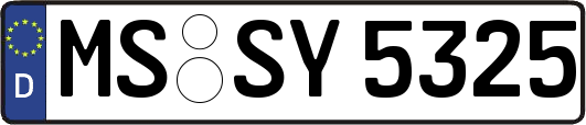 MS-SY5325