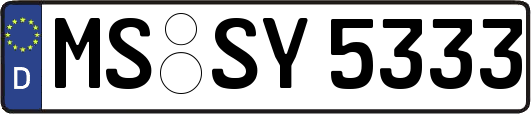 MS-SY5333