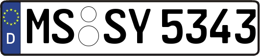 MS-SY5343