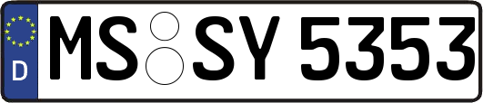 MS-SY5353