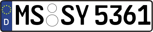 MS-SY5361