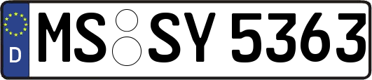 MS-SY5363
