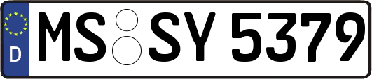 MS-SY5379