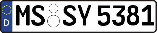 MS-SY5381
