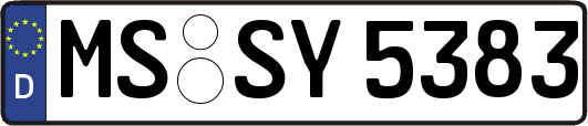 MS-SY5383