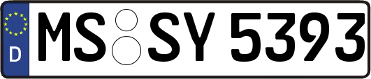 MS-SY5393