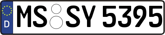 MS-SY5395