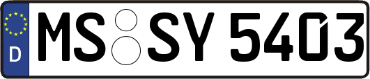 MS-SY5403