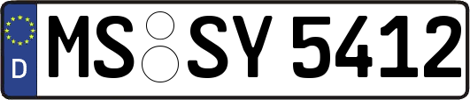 MS-SY5412