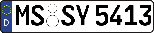 MS-SY5413