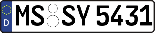 MS-SY5431