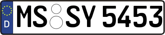MS-SY5453