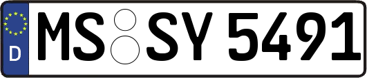 MS-SY5491